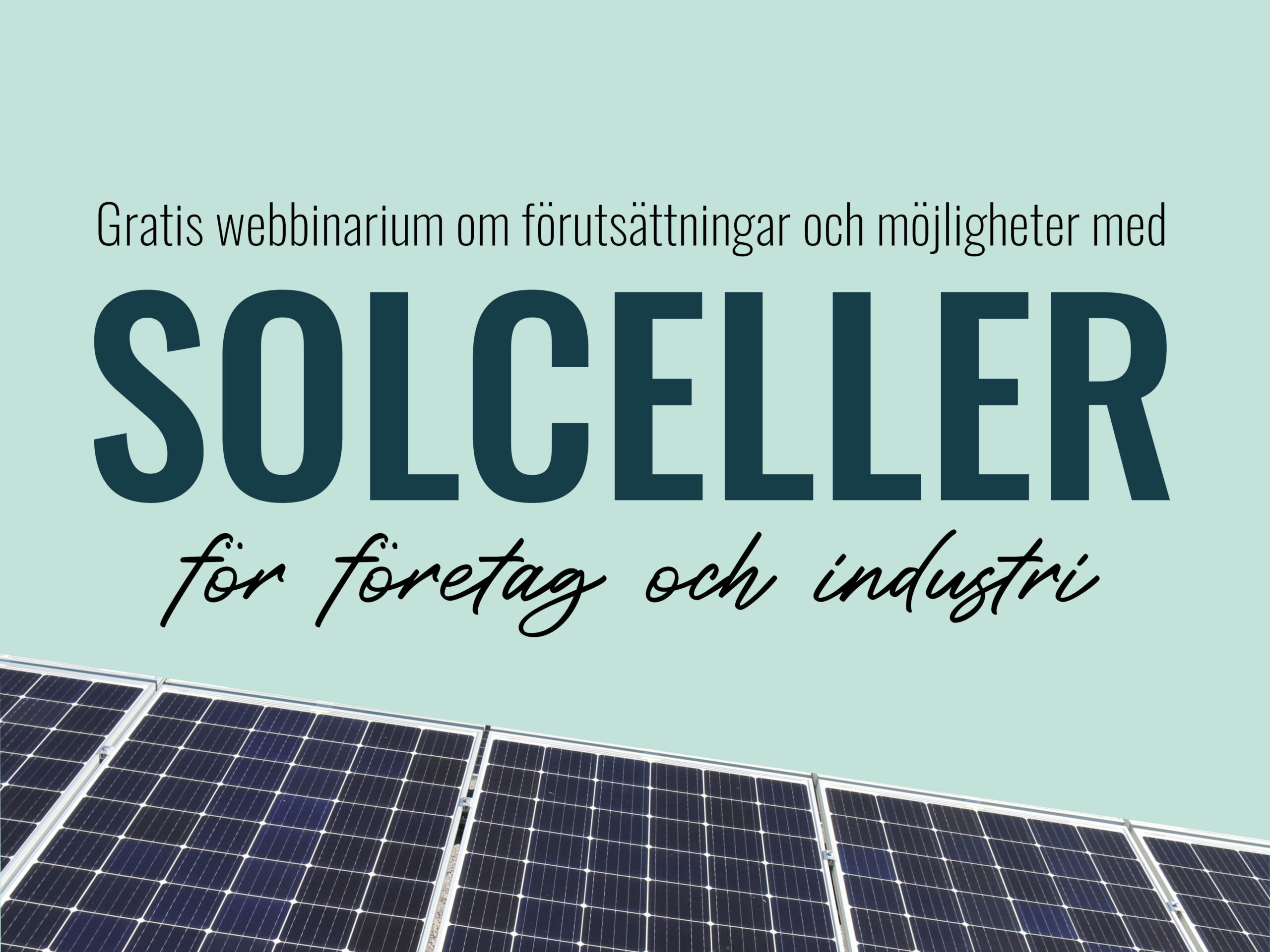 Läs mer om artikeln Webbinarium: Solceller för företag och industri