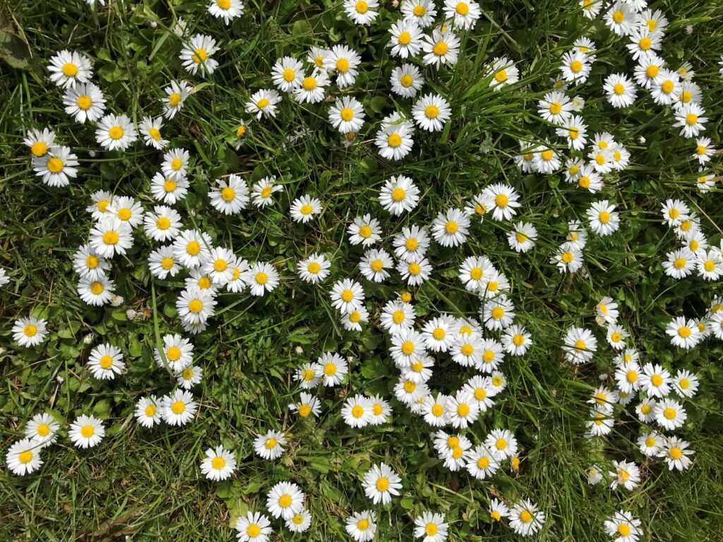Sommar och semesterstängt på rådgivningen